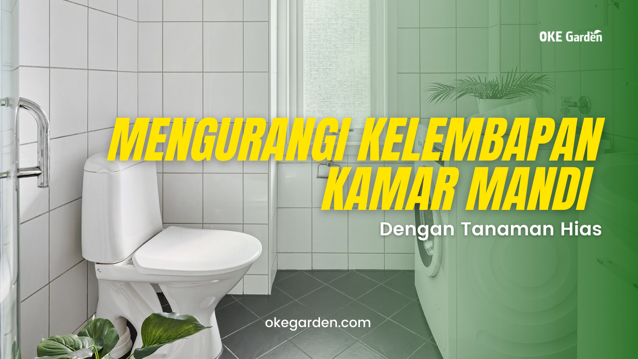 Ilustrasi I Foto: Pixabay